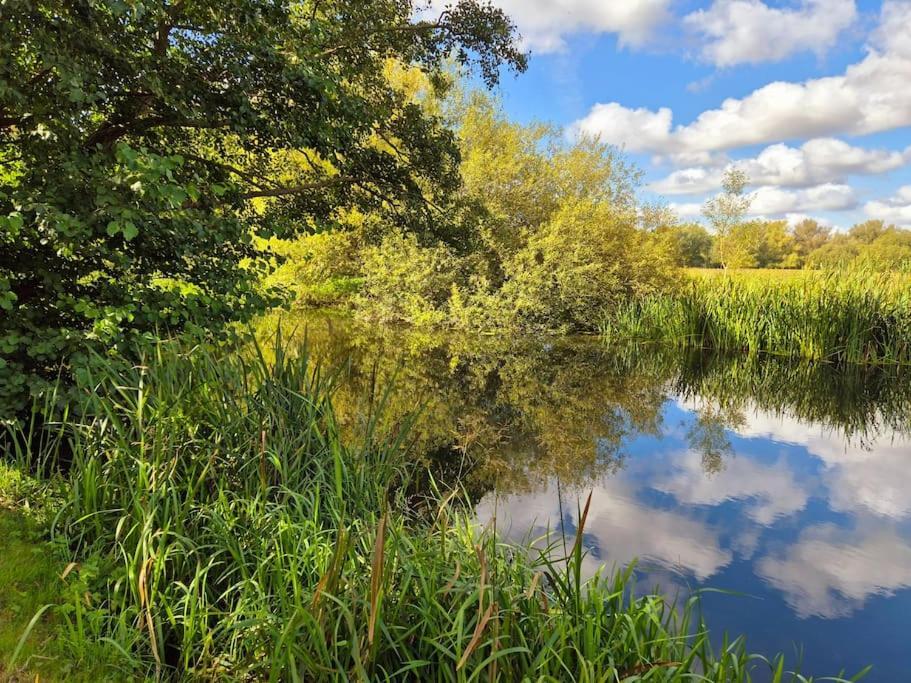 Stunning 5 Bedroom House On The River Wensum, Sleeps 19 Norwich Eksteriør billede